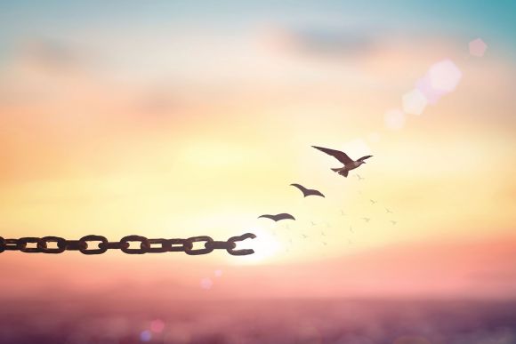 Taking back control from a key vendor
