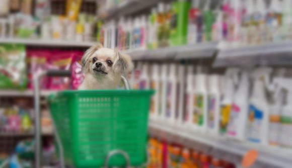 Pandemic Pets: Checking in on Pet Retailers