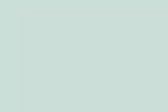 Overcoming the 3 Biggest Challenges in Optimizing Your Brick-and-Mortar Locations