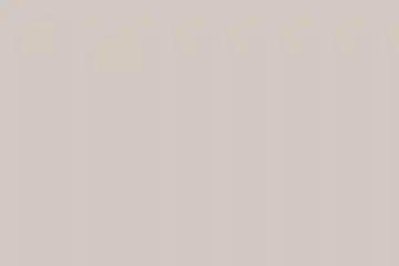 Restaurant Site Selection: Minimizing Losses, Maximizing Success