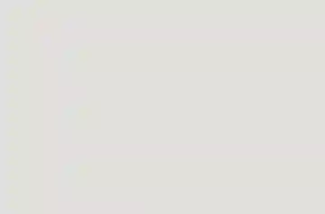 Millennial Consumers: Why They Aren’t All the Same